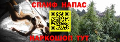jwh Сланцы