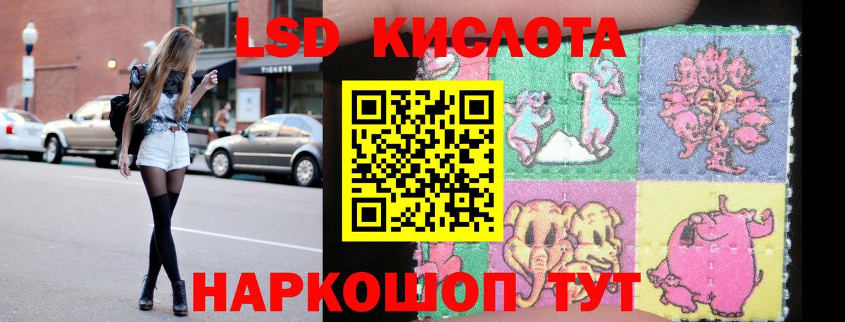 Новозыбков  Лсд 25 экстази кислота  Вход с VPN 