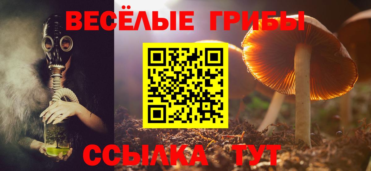 Псилоцибиновые грибы прущие грибы  Вход с VPN  Новозыбков 